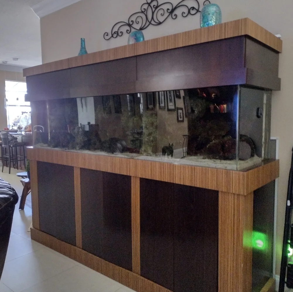 Fishtank/Aquarium